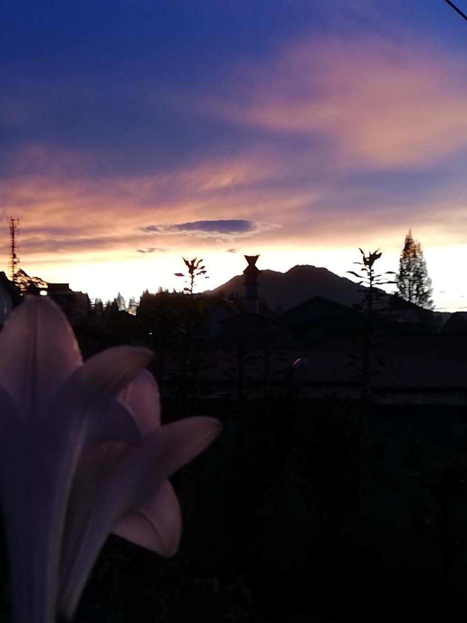 Smiley'S Homestay Берастаги Екстериор снимка